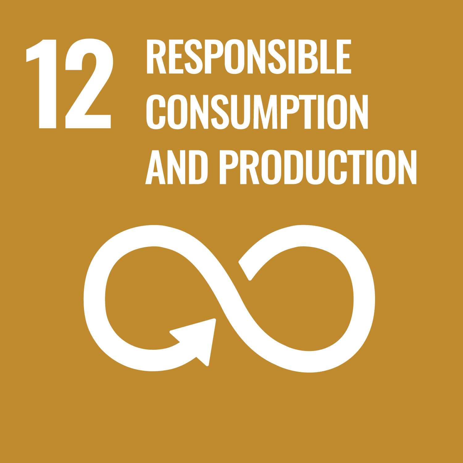 SDG 1